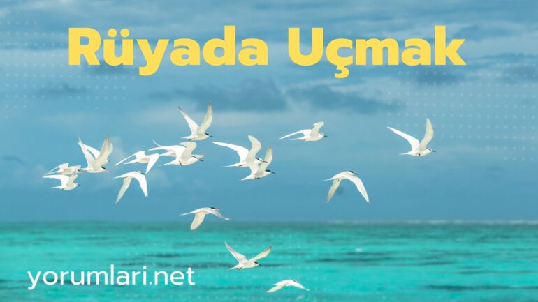 Rüyada Uçmak | Rüyada Gökte Uçmak Ne Anlama Gelir?
